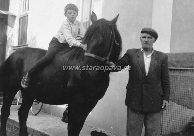 rolnicka (23).jpg - Pan Josef Suchánek na statku. Fotografie z doby kolem roku 1960.